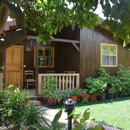 Caretta Caretta Pension Чирали Екстер'єр фото
